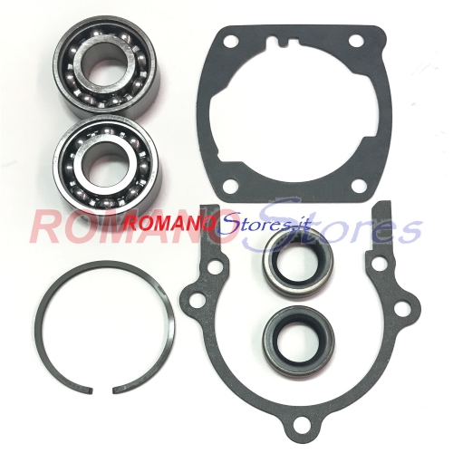 ECHO 2 PARAOLI + 2 CUSCINETTI + 2 GUARNIZIONI + SEGMENTO CS 2511 251