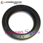 PARAOLIO 38-52-08 RSX LOMBARDINI LATO VOLANO 6LD360