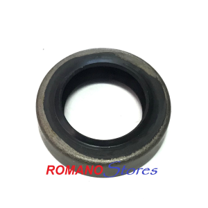 ECHO 2 PARAOLI + 2 CUSCINETTI + 2 GUARNIZIONI + SEGMENTO CS 2511 251