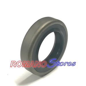 ECHO 2 PARAOLI + 2 CUSCINETTI + 2 GUARNIZIONI + SEGMENTO CS 2511 251