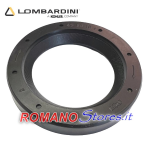 PARAOLIO 40-60-10 ROTAZIONE DESTRA LOMBARDINI LATO VOLANO LDA510/3LD510
