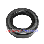 PARAOLIO 15-25-07 BASL BANCO ECHO DM4600/SRM 520 SHINDAIWA B510S/EB600RT