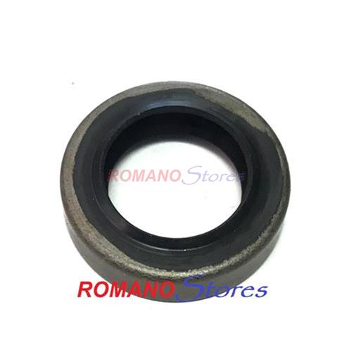 ECHO 2 PARAOLI + 2 CUSCINETTI + 2 GUARNIZIONI + SEGMENTO CS 2511 251
