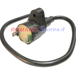 BOBINA ALTA TENSIONE ESTERNA PIAGGIO 50/125/200/250 LEADER HONDA SH 125/150