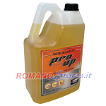 OLIO PROTETTIVO CATENA ECHO PRO UP MOTOSEGA 100% BIODEGRADABILE 5 Lt.