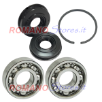 ECHO 2 PARAOLI + 2 CUSCINETTI + SEGMENTO CS 2600/CS260/CS280