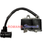 CENTRALINA TIPO ECHO PB 251 PB 255 ES PB 265 ESL