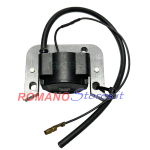 CENTRALINA ORIGINALE IDM PER MINARELLI I50 I51 I52 I80 I85 BRUMI MINI KLEIN