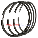 SEGMENTI ORIGINALI LOMBARDINI 3LD 450 3LD 510 D. 85.0 mm. 4 Pezzi