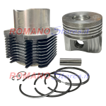 CILINDRO + PISTONE DGC TIPO LOMBARDINI 6LD360 D.82.00
