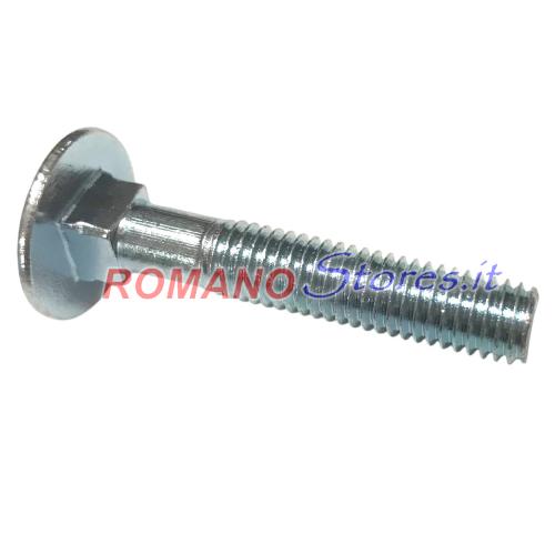 VITE FISSAGGIO MANUBRIO RASAERBA EFCO OLEOMAC