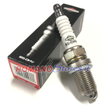 CANDELA BRIGGS & STRATTON BS-OHV 992304 = RC12YC