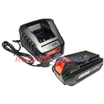 ECHO BATTERIA A LITHIO 56VeFORCE 5AH-252Wh+CARICABATTERIA RAPIDO 56V
