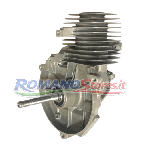 SHORT BLOCK BLOCCO MOTORE EFCO STARK 2500 SO2550 OLEOMAC SPARTA 250 OS255